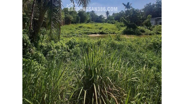 Đất Mặt tiền SHR Đ.14m 3360m2, Nở hậu – Thạnh Xuân 52 Quận 12